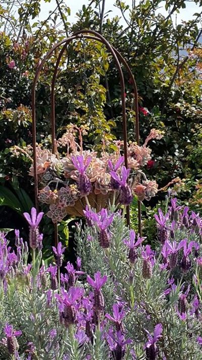 Tour the George gardens